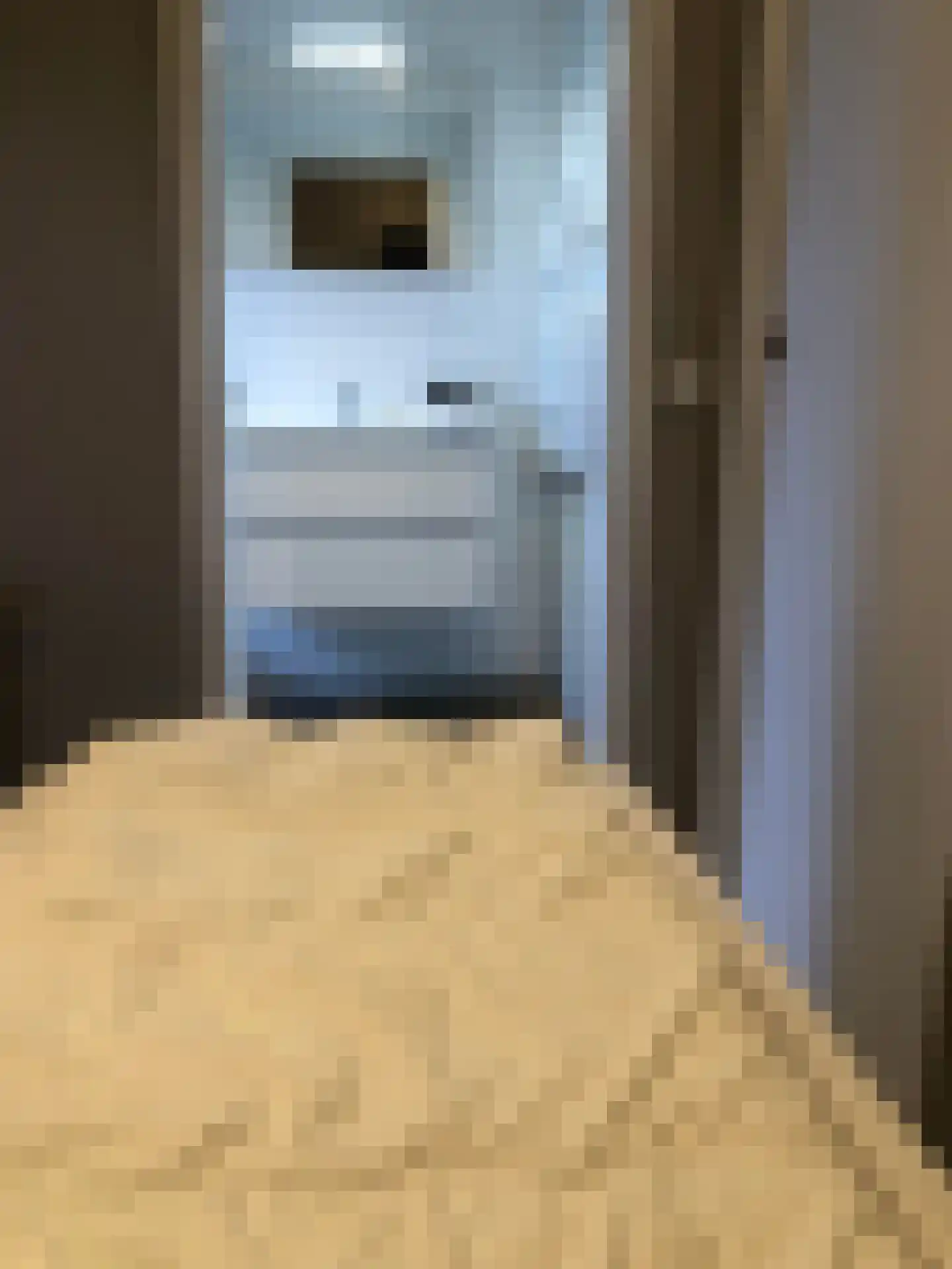 Banstraat 25 Veldhoven thumbnail 18