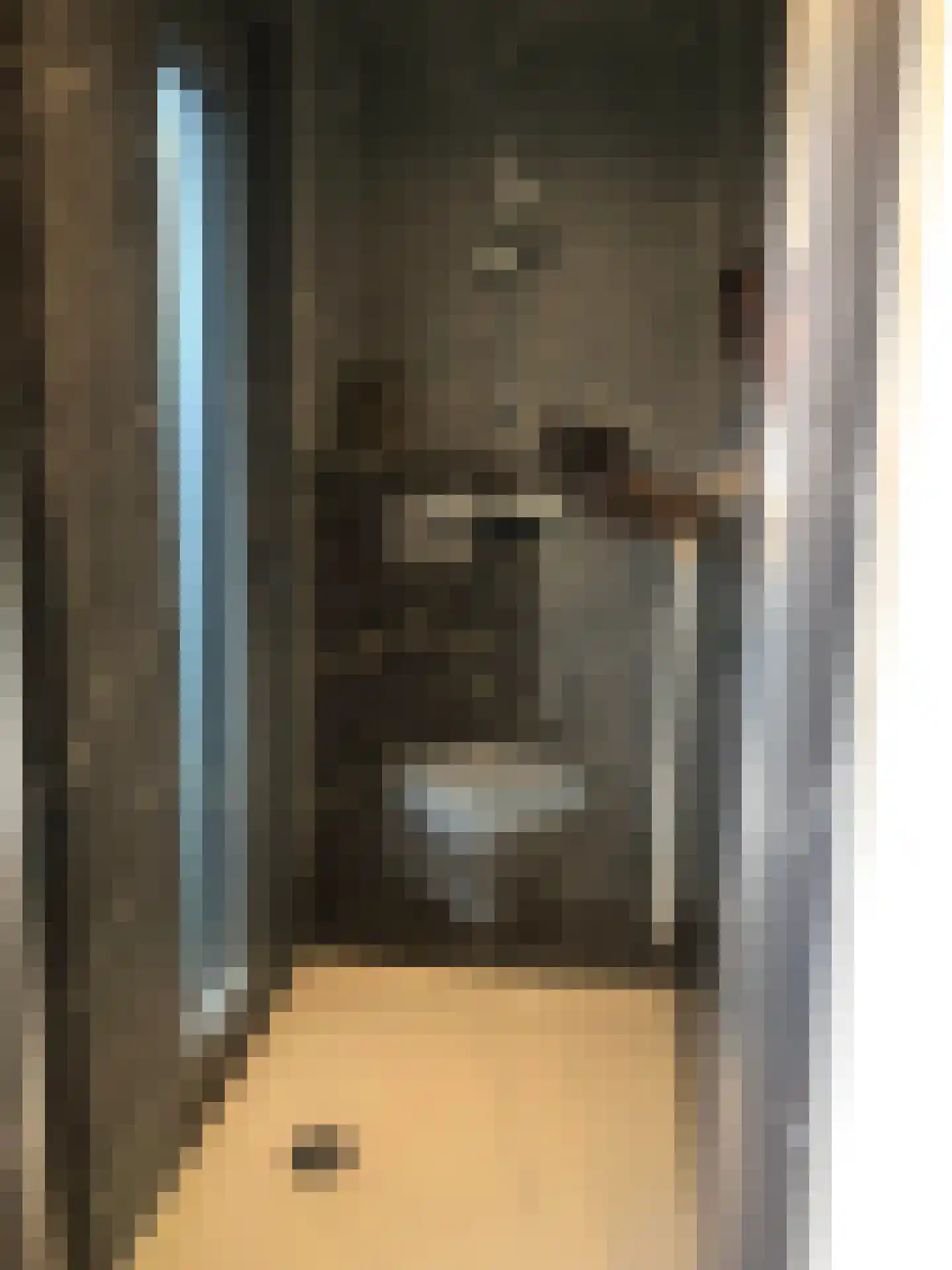 Banstraat 25 Veldhoven thumbnail 20