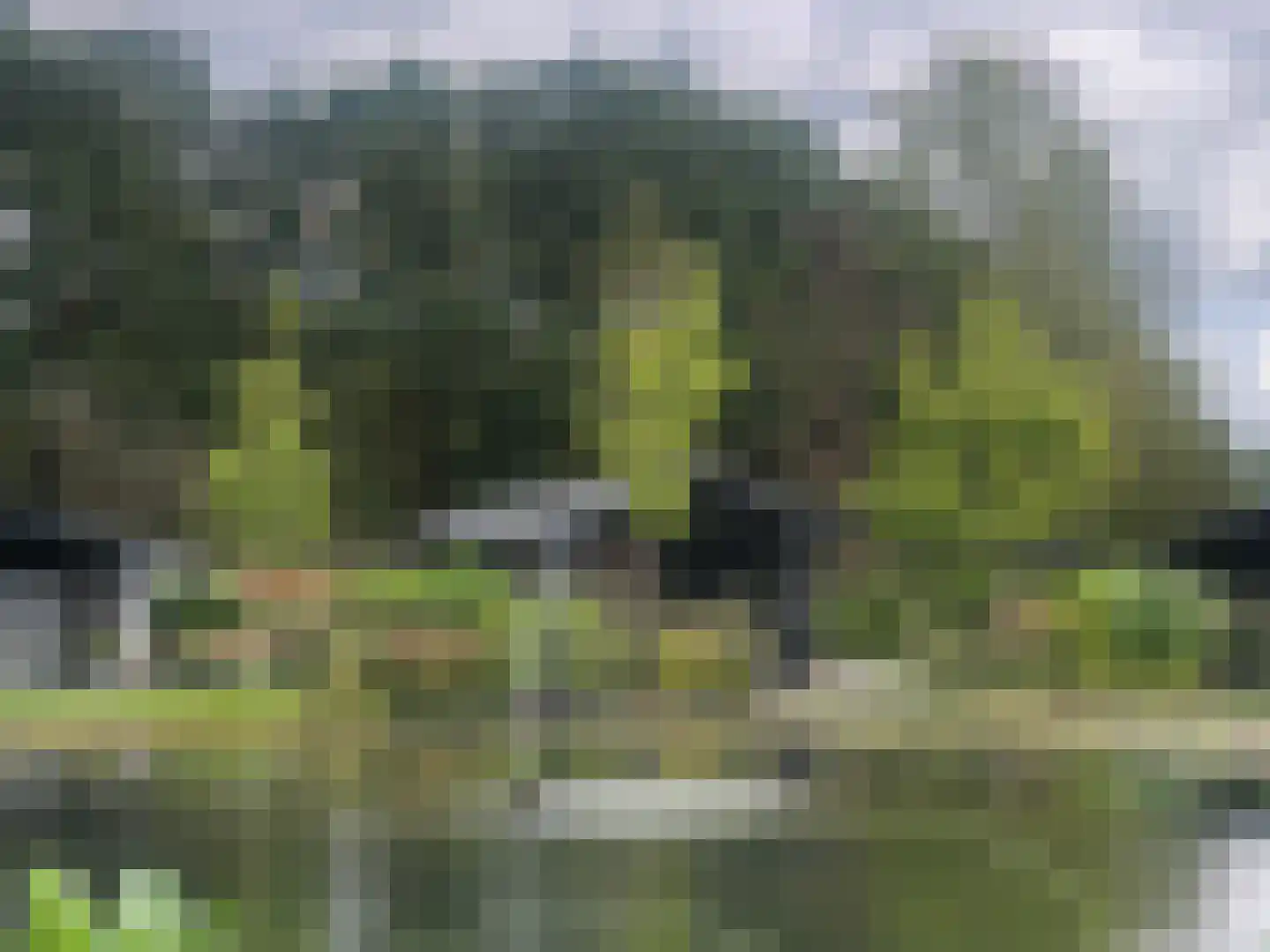 Banstraat 25 Veldhoven thumbnail 4