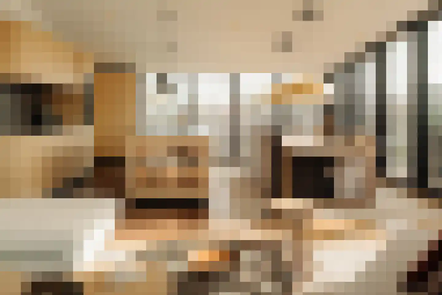 Banstraat 27 D Amsterdam thumbnail 11