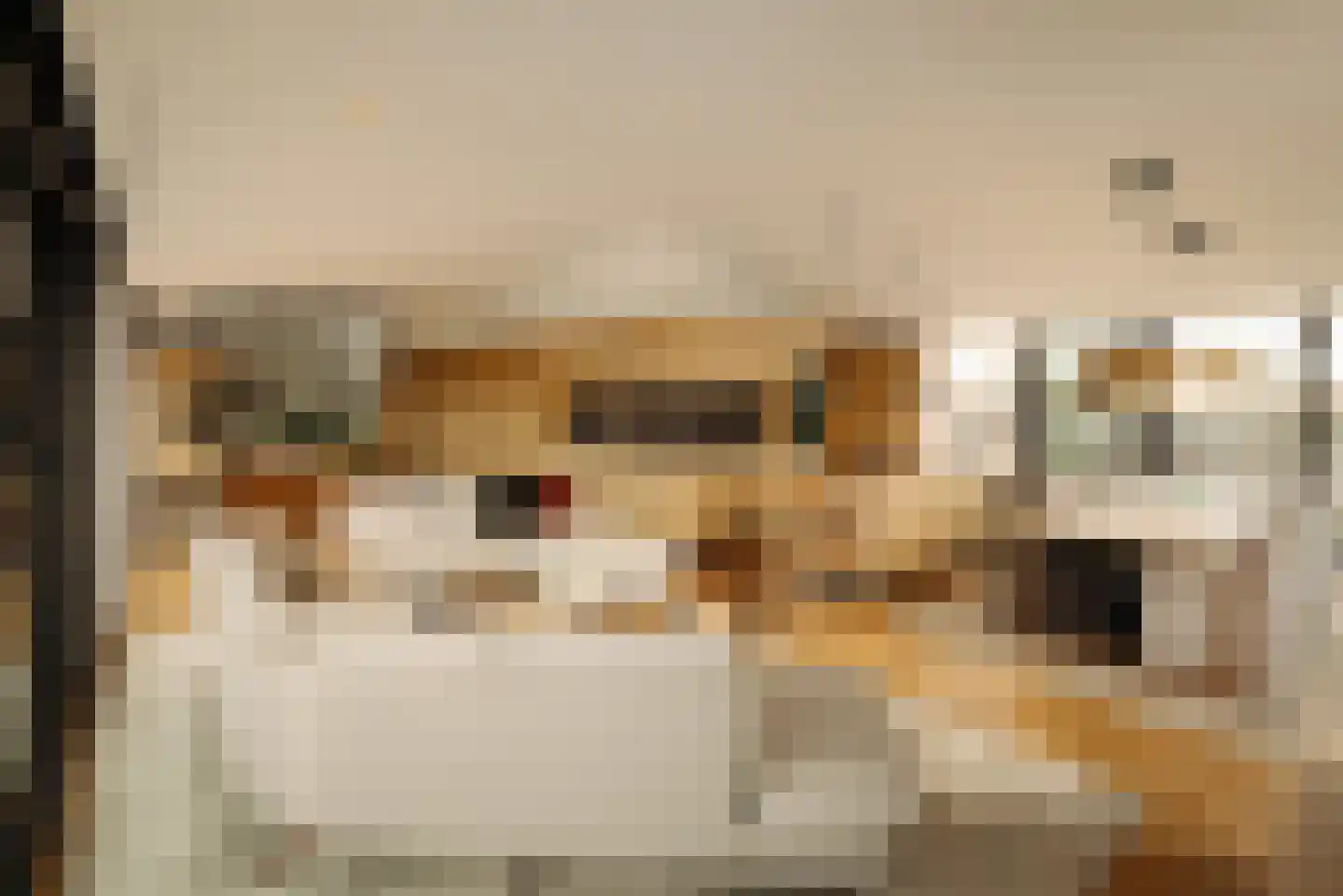 Banstraat 27 D Amsterdam thumbnail 6