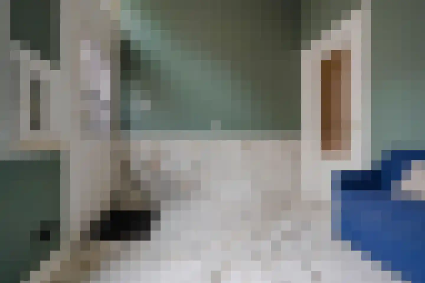Banstraat 4 Den Haag thumbnail 10