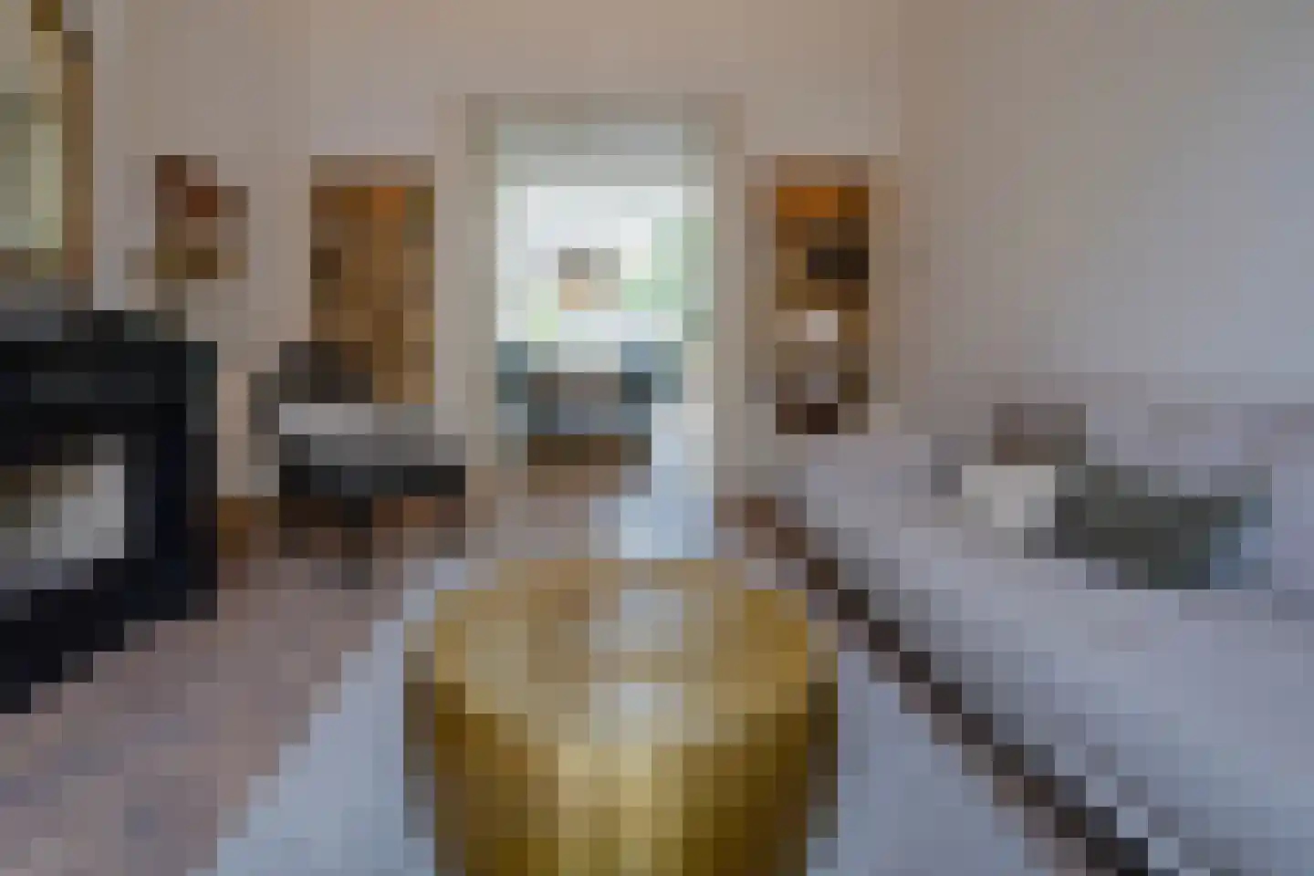 Banstraat 4 Den Haag thumbnail 24