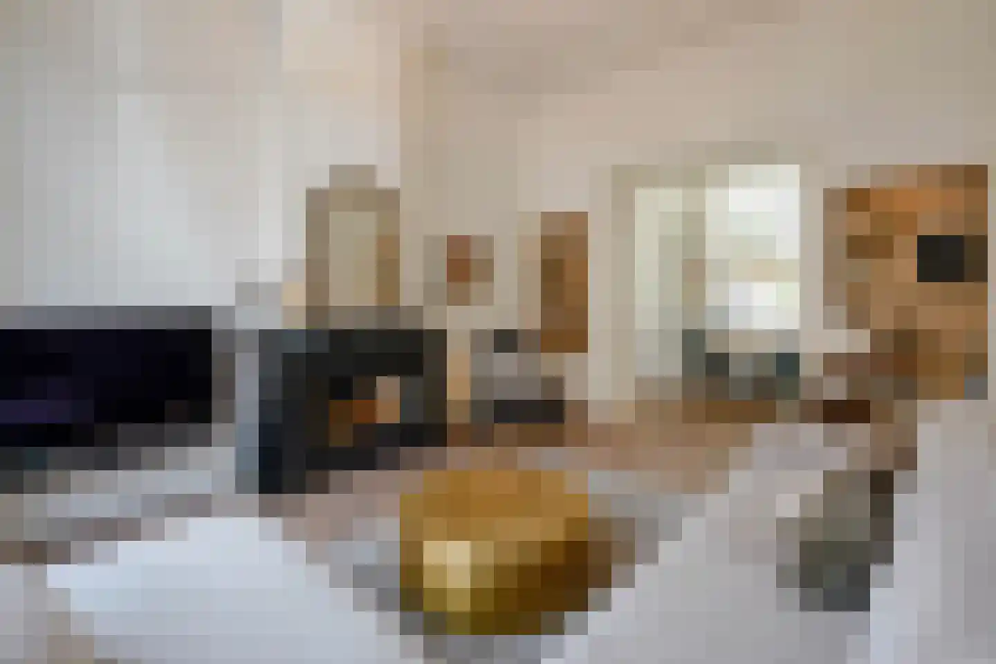 Banstraat 4 Den Haag thumbnail 25