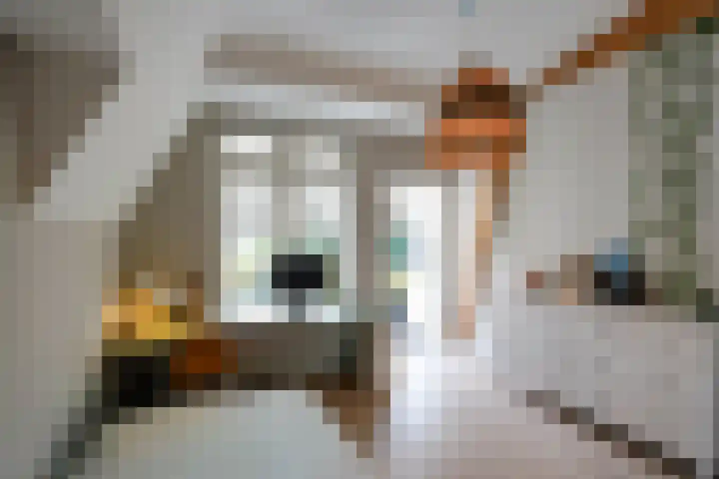 Banstraat 4 Den Haag thumbnail 72