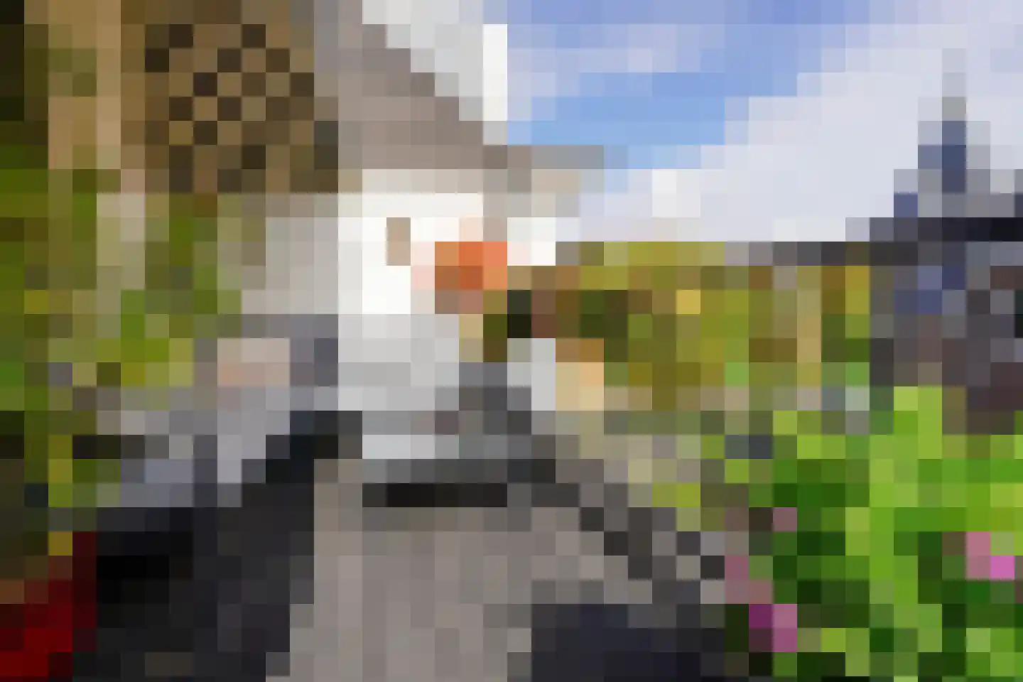 Banstraat 4 Den Haag thumbnail 73