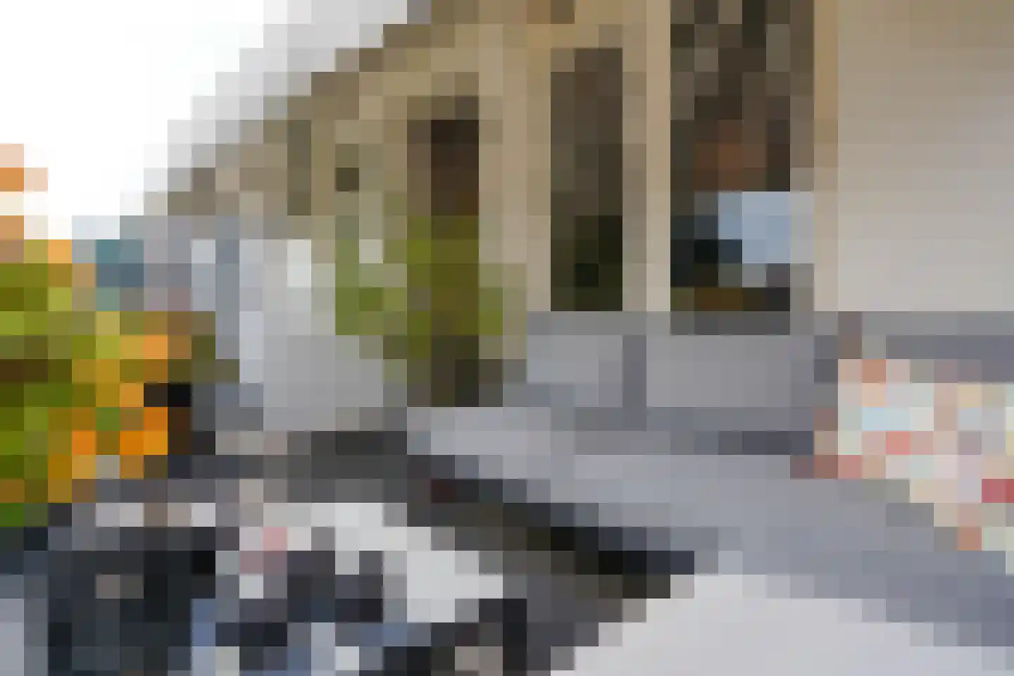 Banstraat 4 Den Haag thumbnail 74