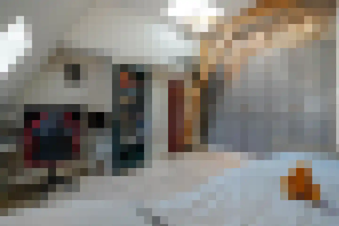 Banstraat 4 Den Haag thumbnail 81