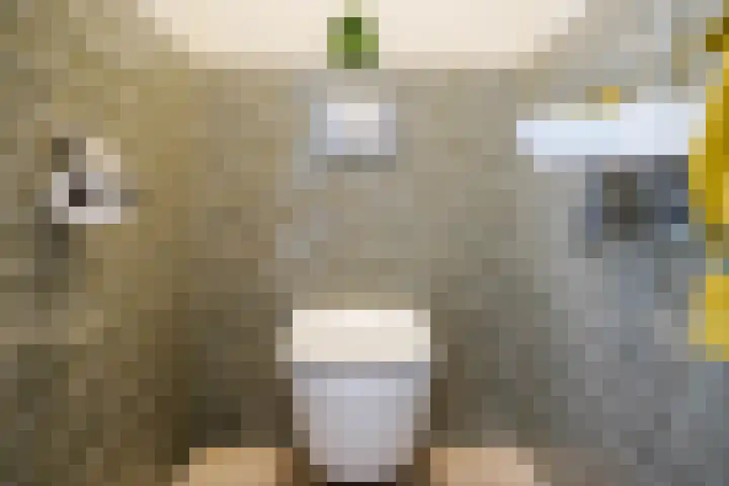 Banstraat 4 Den Haag thumbnail 85