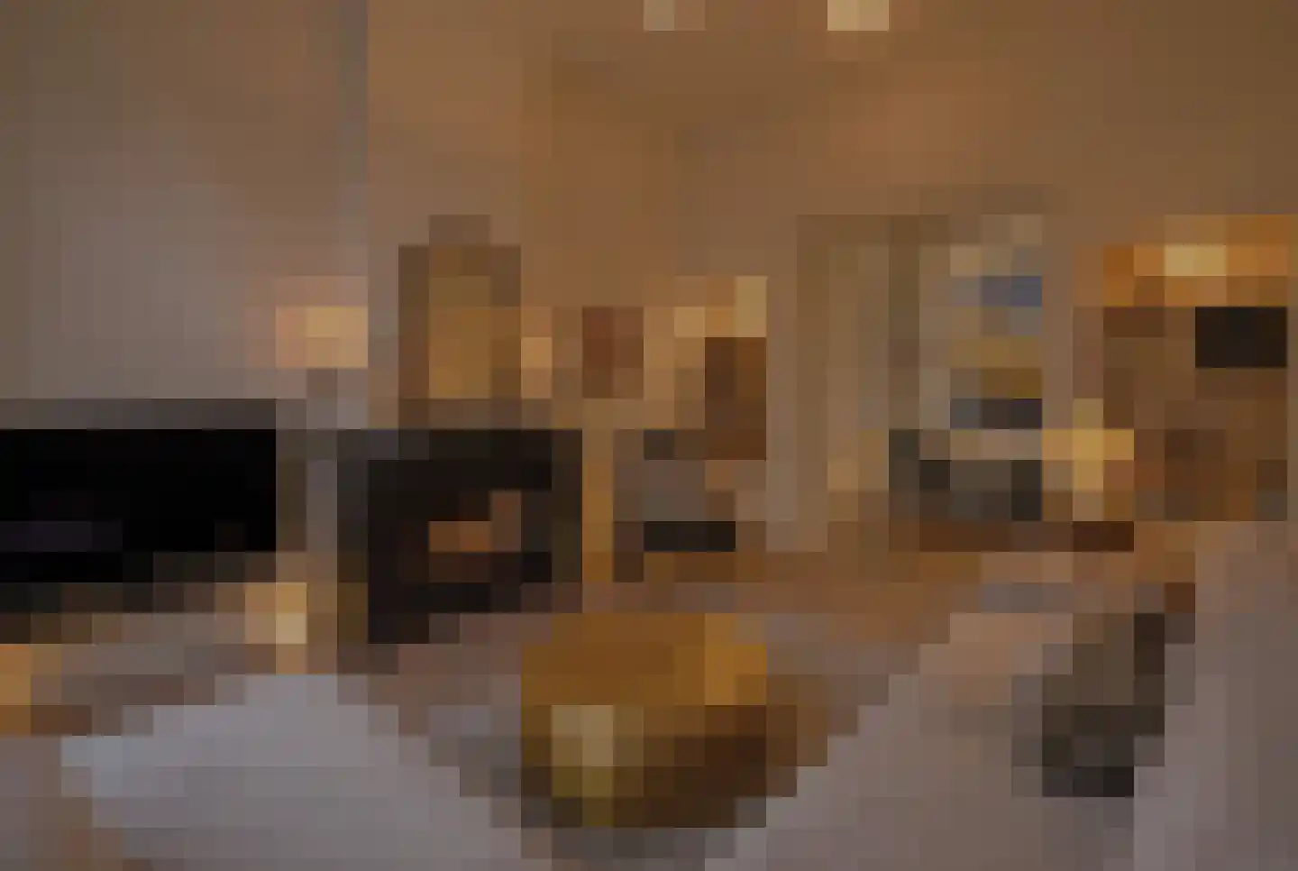 Banstraat 4 Den Haag thumbnail 92