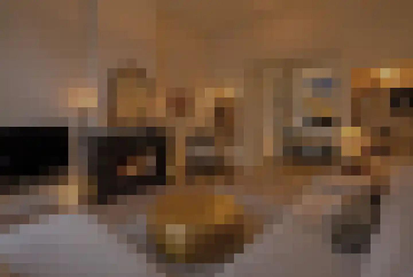 Banstraat 4 Den Haag thumbnail 95