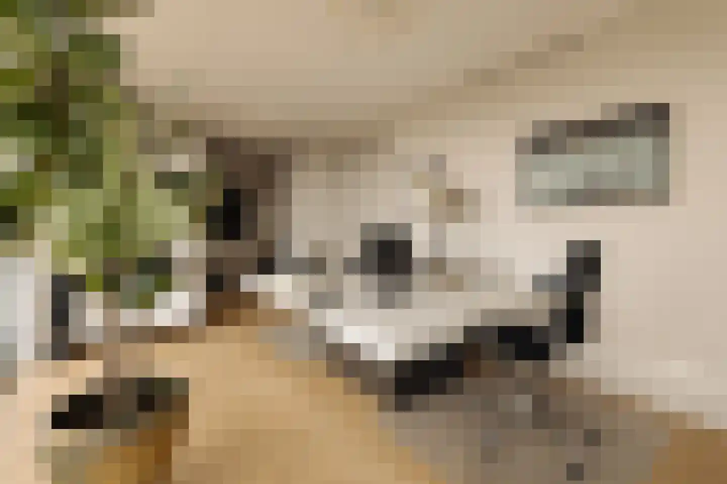 Banstraat 5 L Amsterdam thumbnail 12