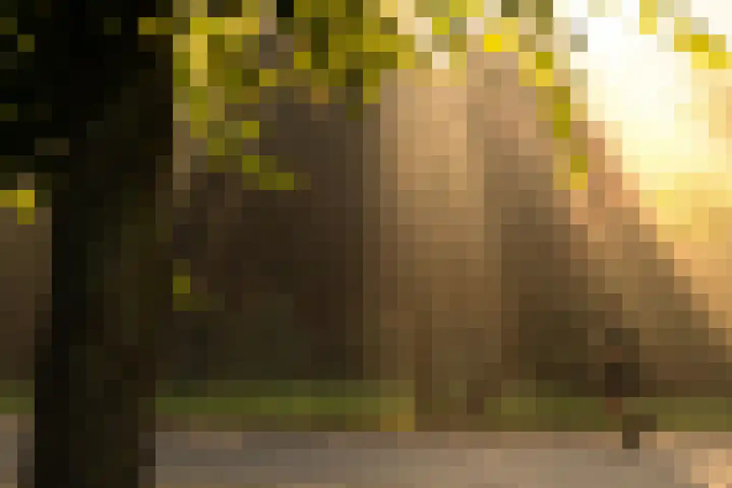 Banstraat 5 L Amsterdam thumbnail 25