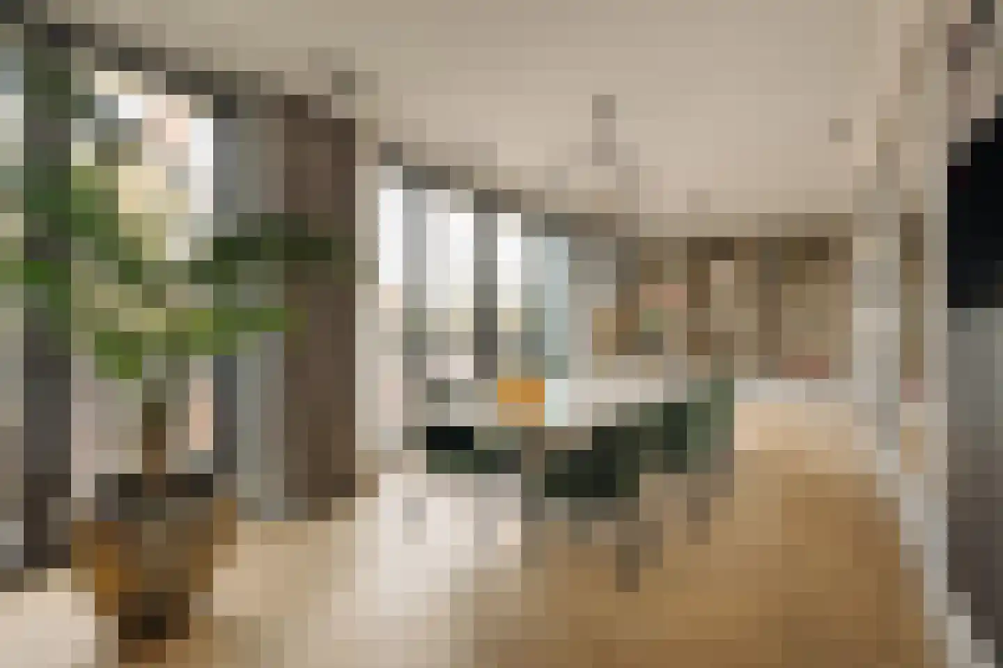Banstraat 5 L Amsterdam thumbnail 6