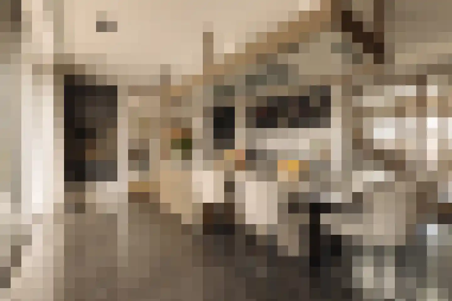 Banstraat 5 L Amsterdam thumbnail 9