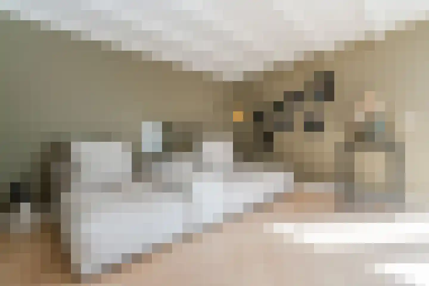 Banstraat 54 2 Amsterdam thumbnail 23