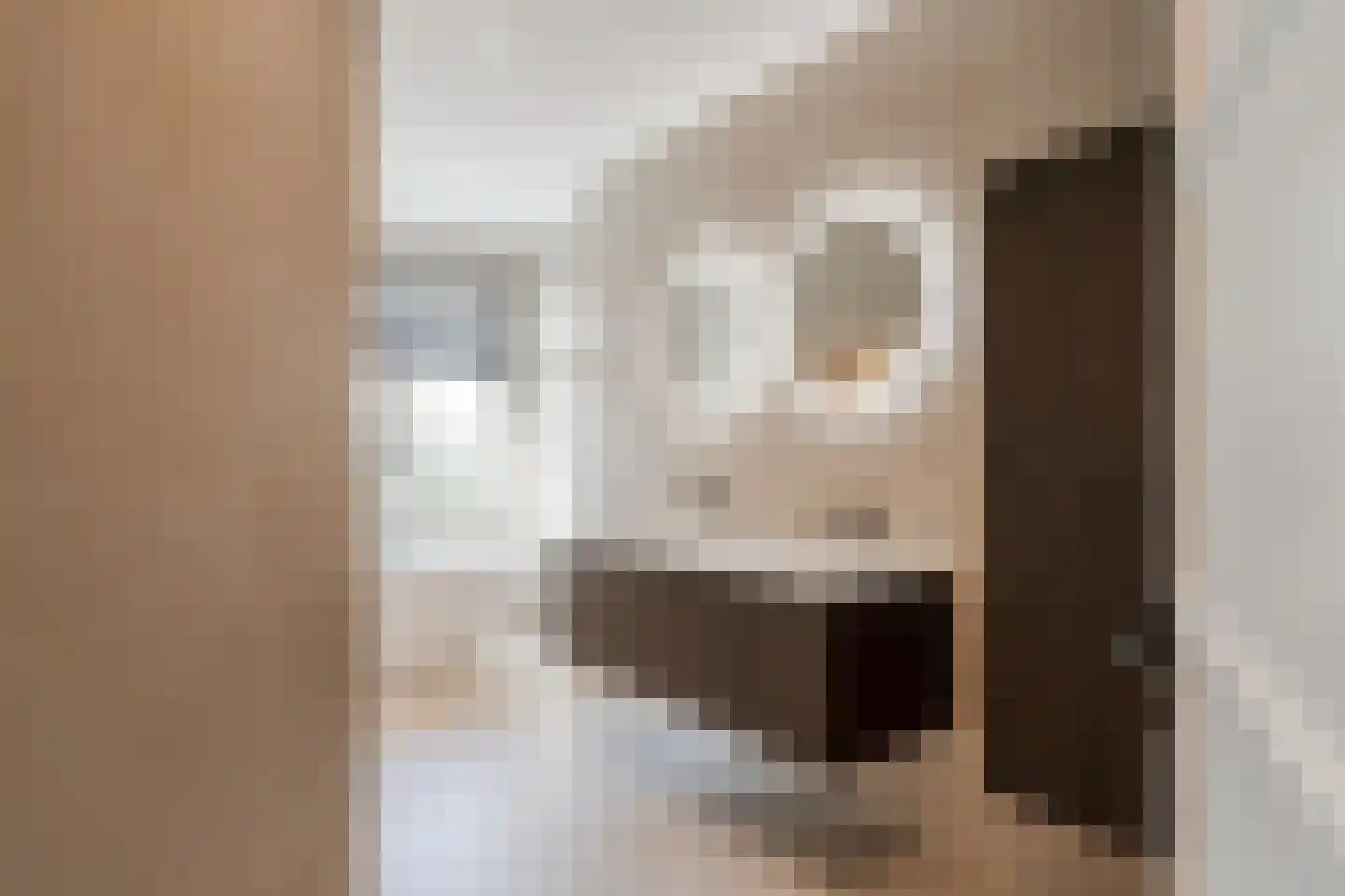 Banstraat 54 3 Amsterdam thumbnail 21