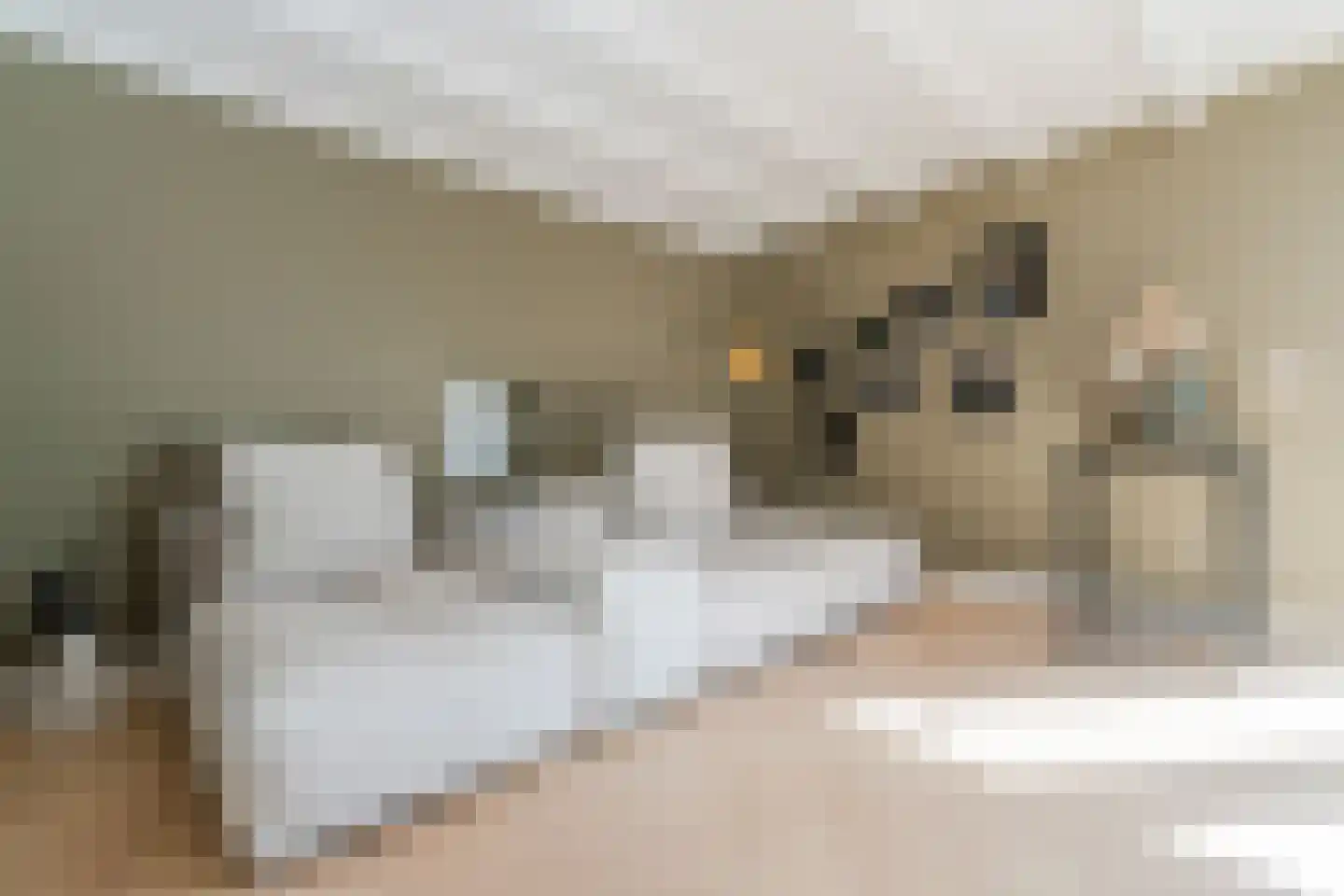 Banstraat 54 3 Amsterdam thumbnail 24