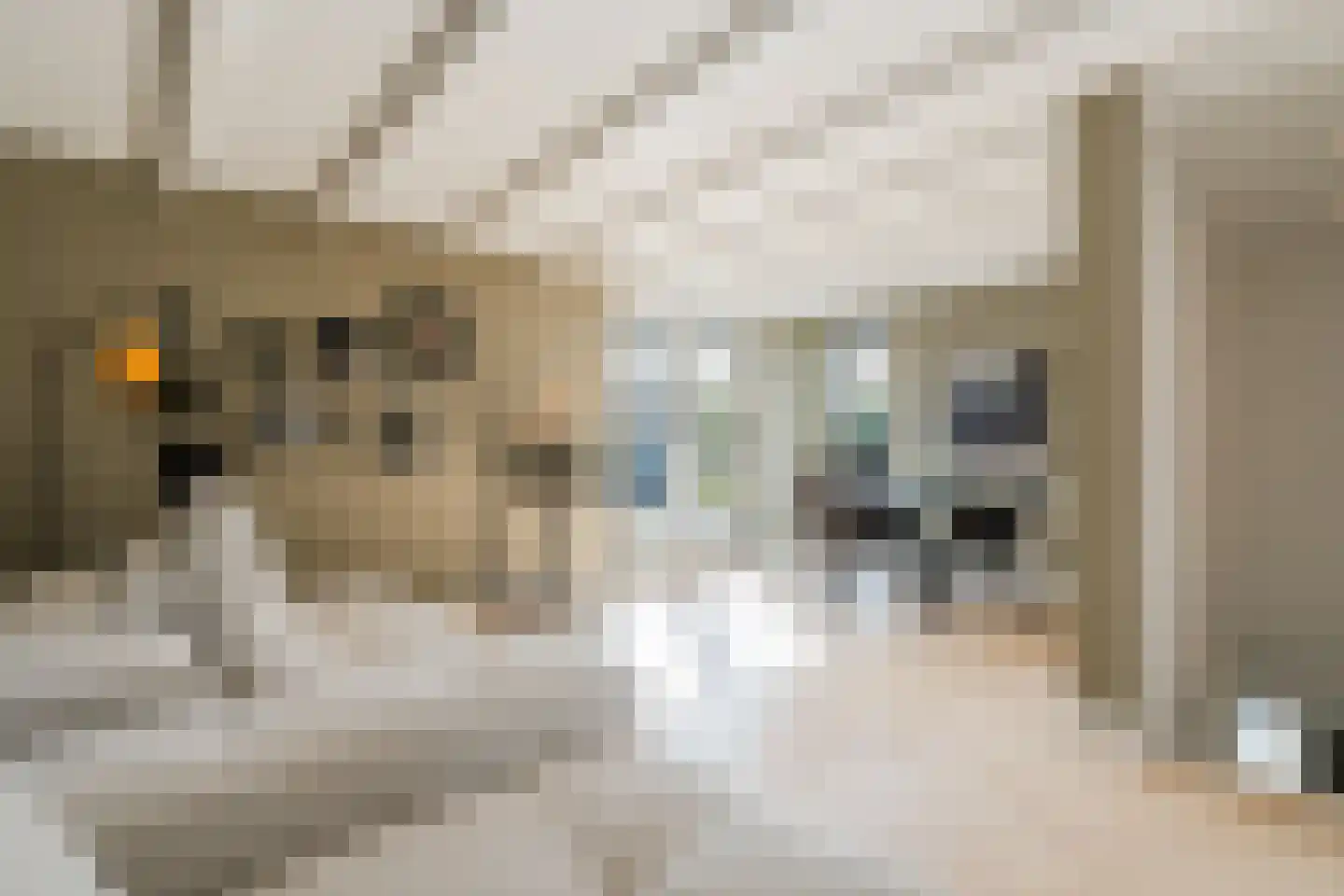 Banstraat 54 3 Amsterdam thumbnail 25