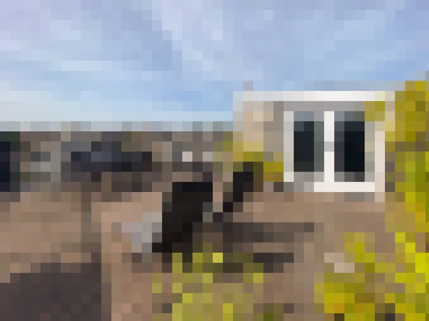 Banstraat 54 3 Amsterdam thumbnail 27
