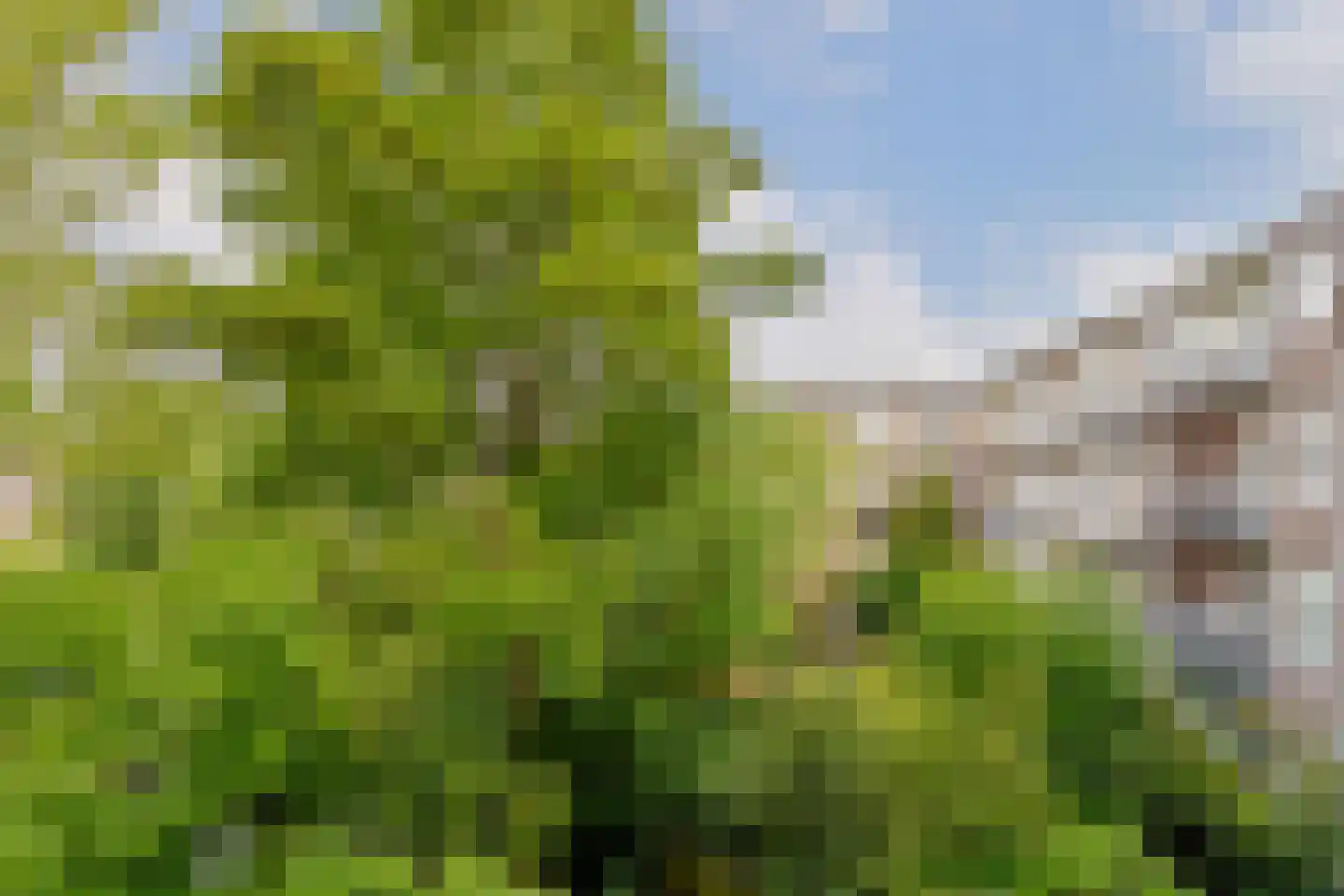 Banstraat 60 2 Amsterdam thumbnail 18