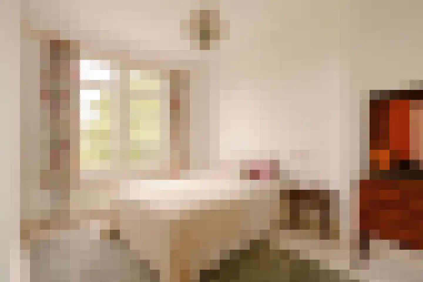 Banstraat 60 2 Amsterdam thumbnail 30