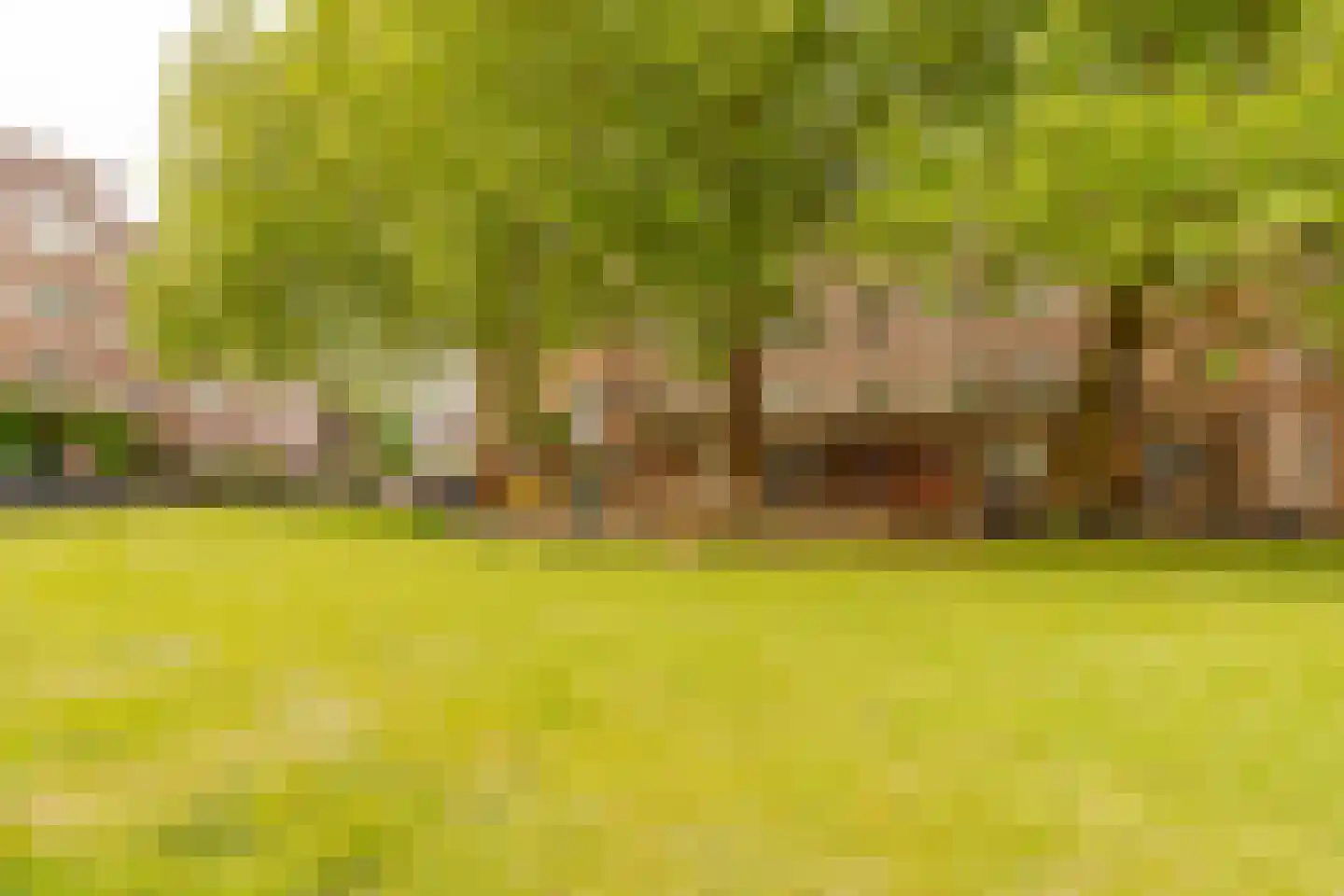 Banstraat 60 2 Amsterdam thumbnail 32