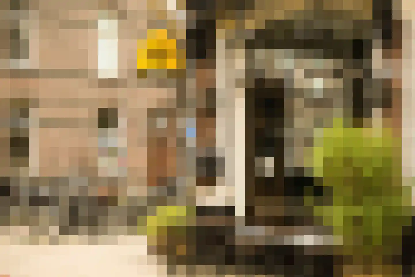 Banstraat 60 2 Amsterdam thumbnail 43
