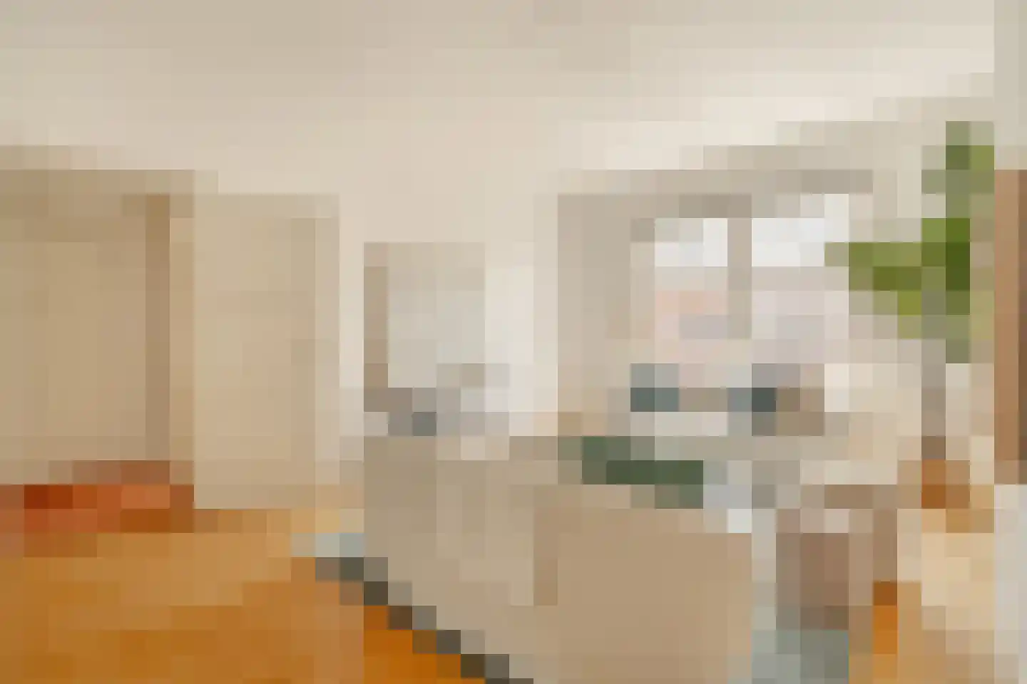 Banstraat 60 2 Amsterdam thumbnail 8