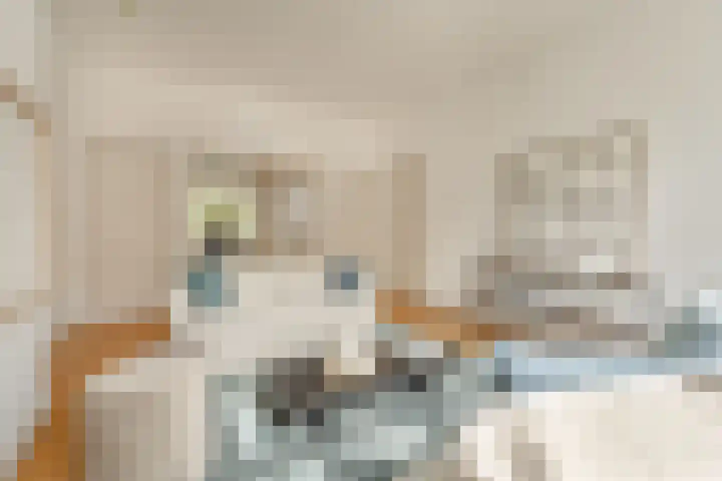 Banstraat 60 2 Amsterdam thumbnail 9