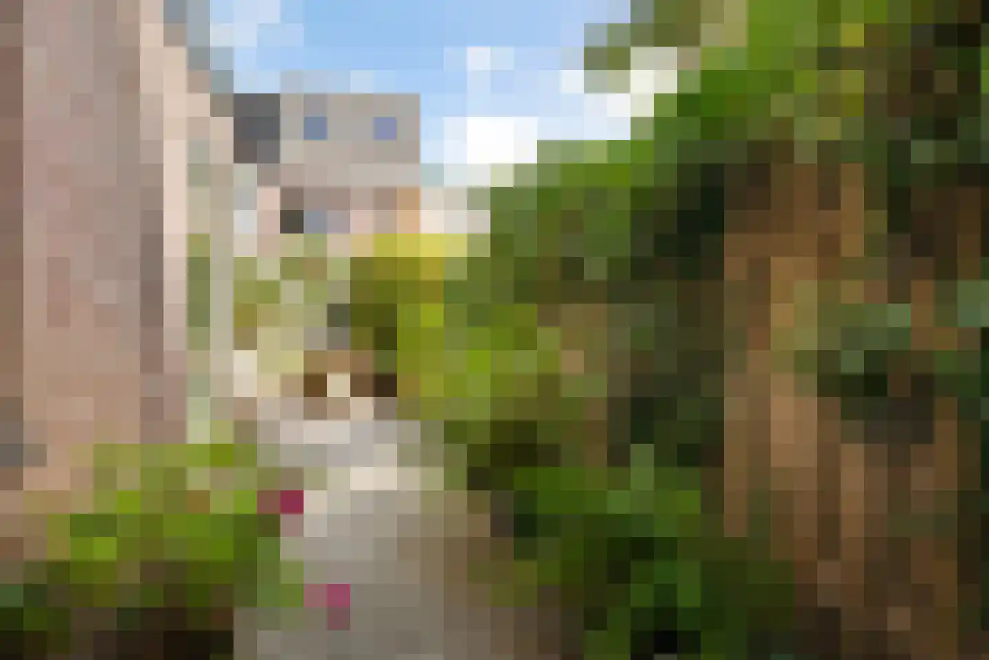 Bantamstraat 21 Haarlem thumbnail 8