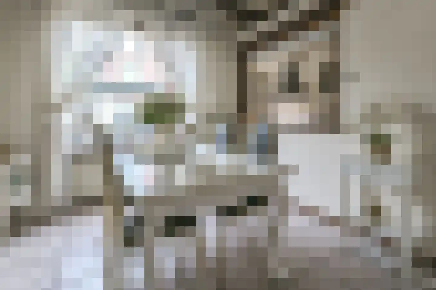 Bantamstraat 65 Haarlem thumbnail 10