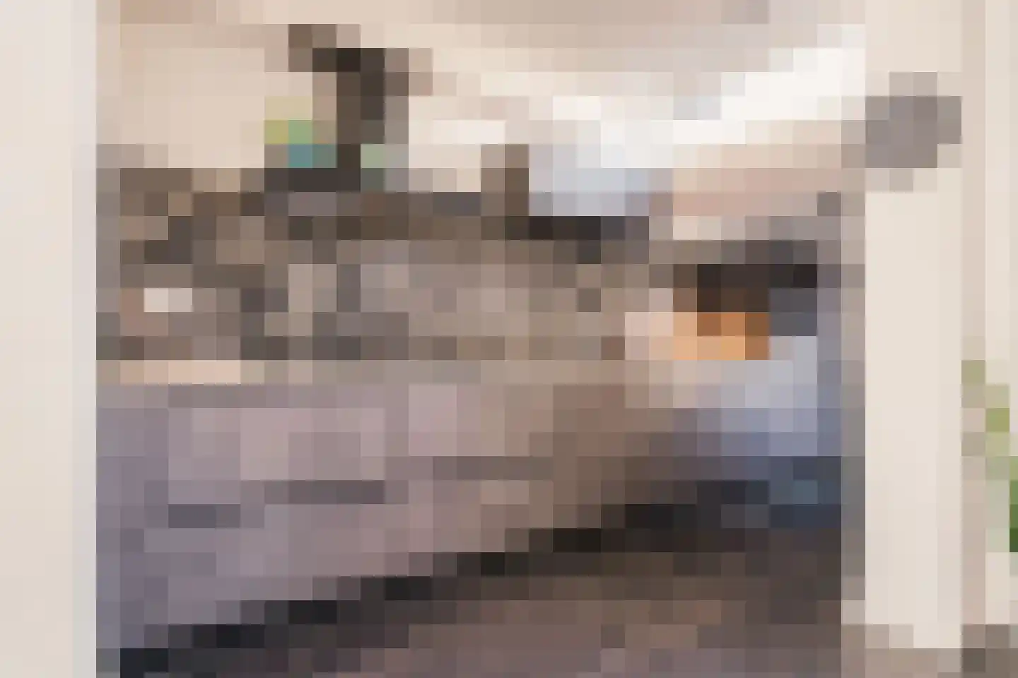 Bantamstraat 75 Haarlem thumbnail 13