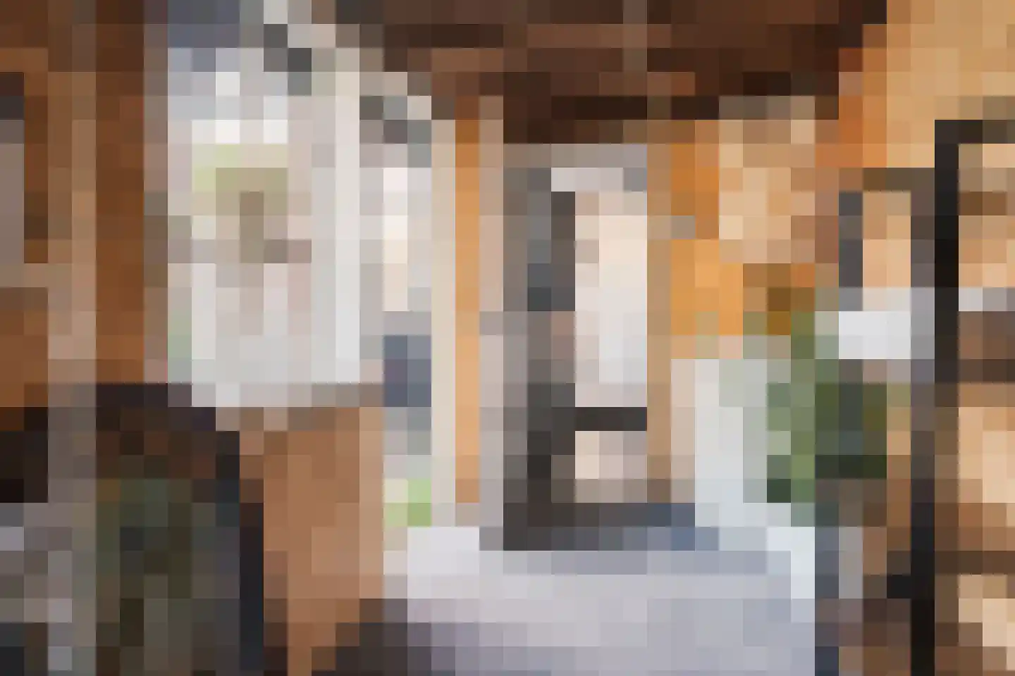 Bantamstraat 75 Haarlem thumbnail 15