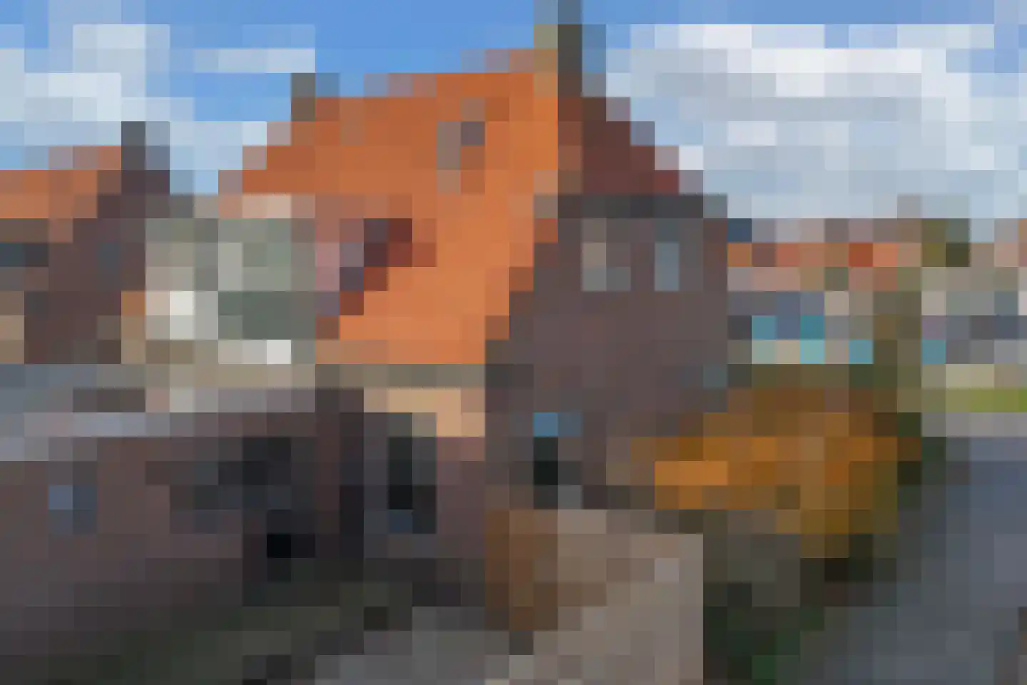 Bantegastraat 2 Lemmer thumbnail 26