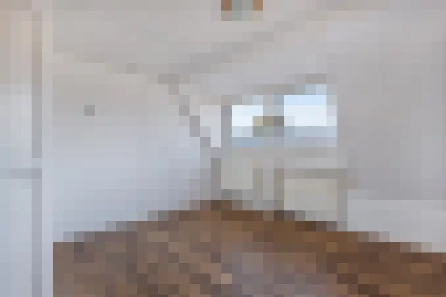 Bantegastraat 2 Lemmer thumbnail 30