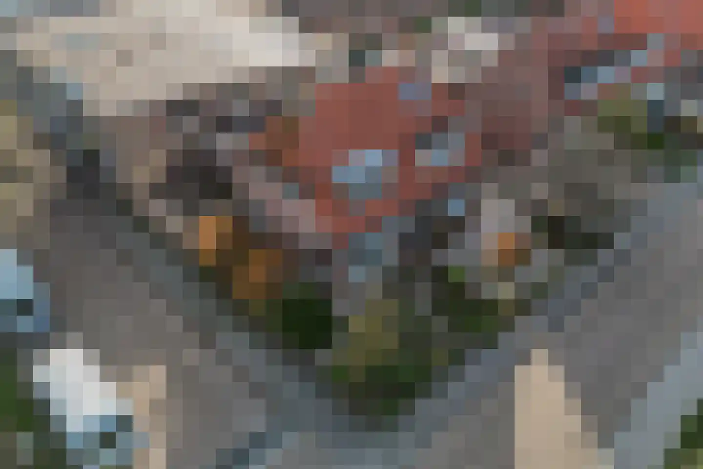 Bantegastraat 2 Lemmer thumbnail 7