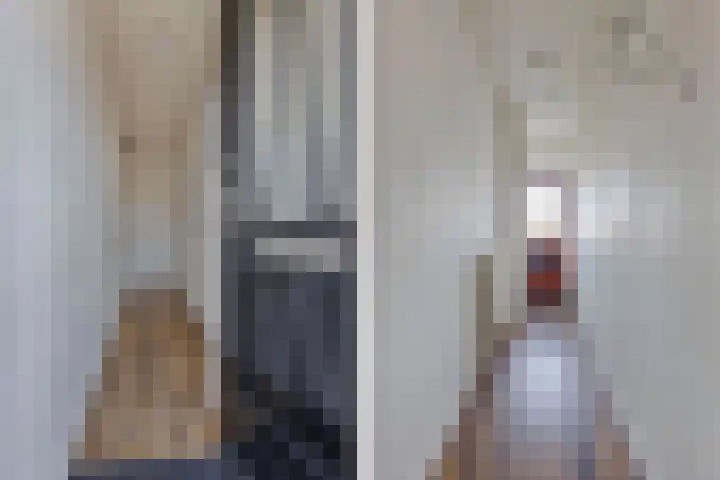 Bantegastraat 2 Lemmer thumbnail 9