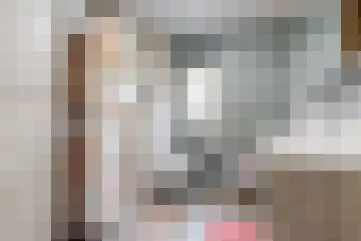 Banterveste 21 Nieuwegein thumbnail 16