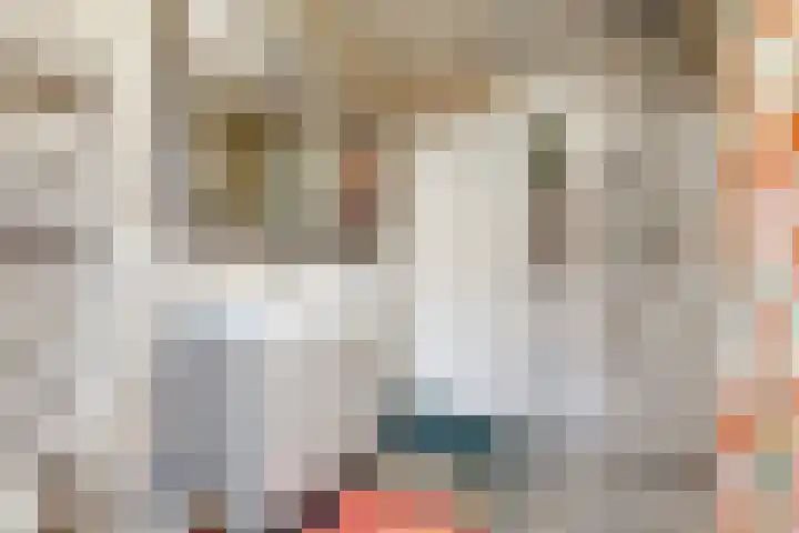 Banterveste 21 Nieuwegein thumbnail 21