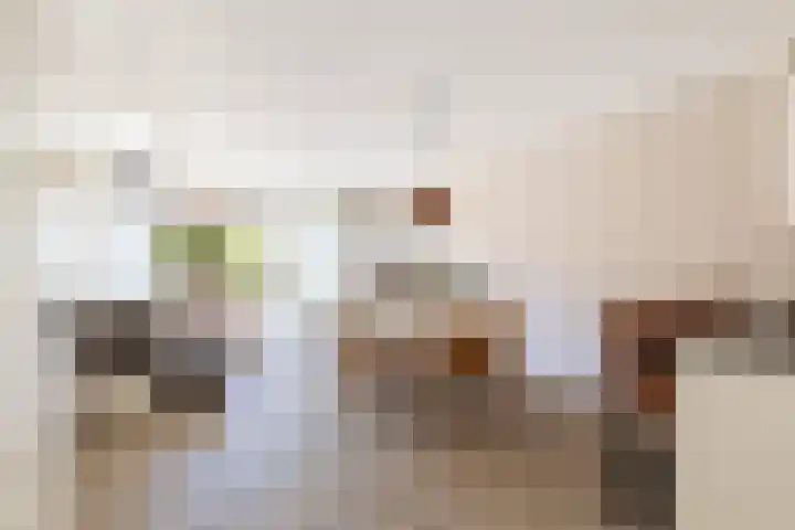 Banterveste 5 Nieuwegein thumbnail 13