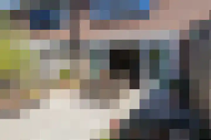 Banterveste 5 Nieuwegein thumbnail 31