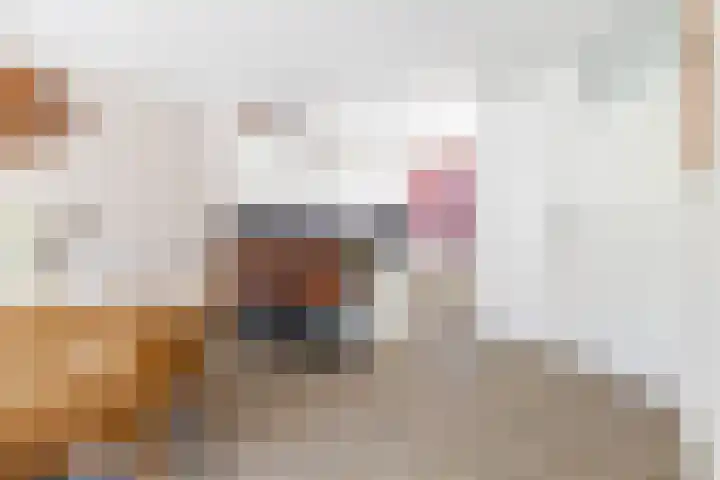 Banterveste 5 Nieuwegein thumbnail 35