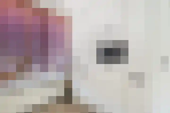 Banterveste 5 Nieuwegein thumbnail 38