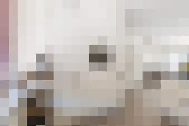 Banterveste 5 Nieuwegein thumbnail 39