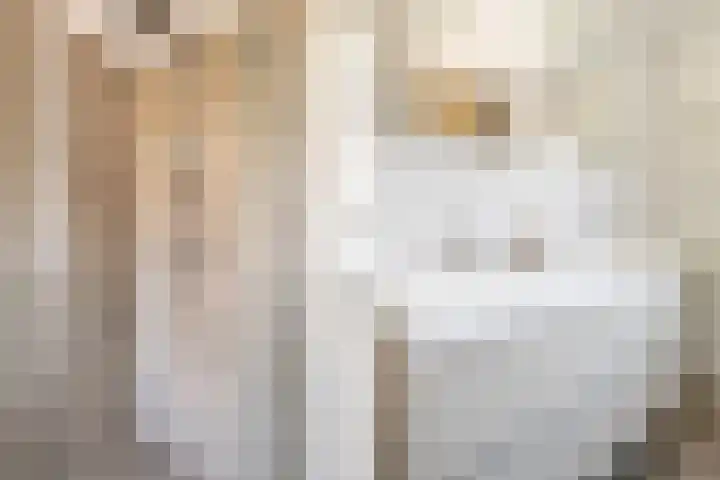 Banterveste 5 Nieuwegein thumbnail 50