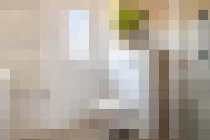 Banterveste 5 Nieuwegein thumbnail 51