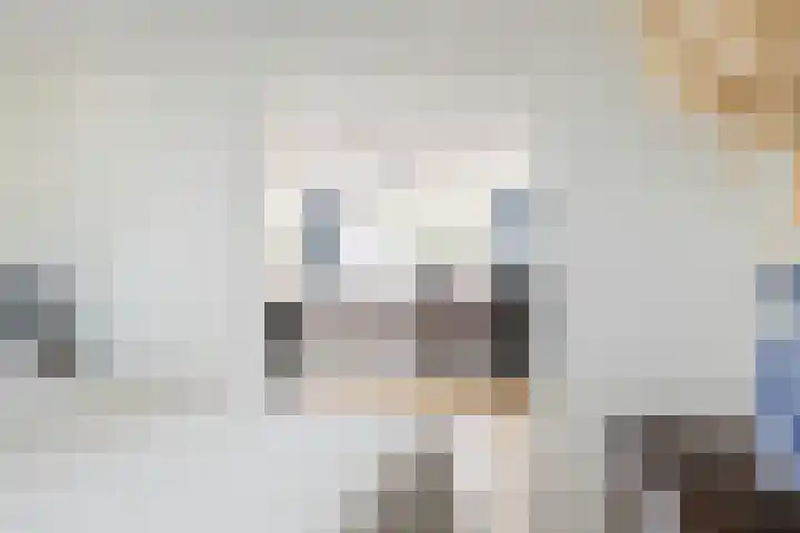 Banterveste 5 Nieuwegein thumbnail 60