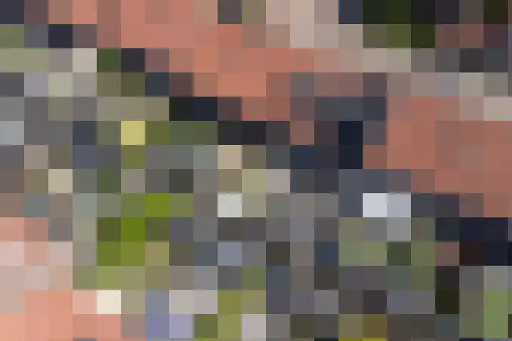 Banterveste 5 Nieuwegein thumbnail 64
