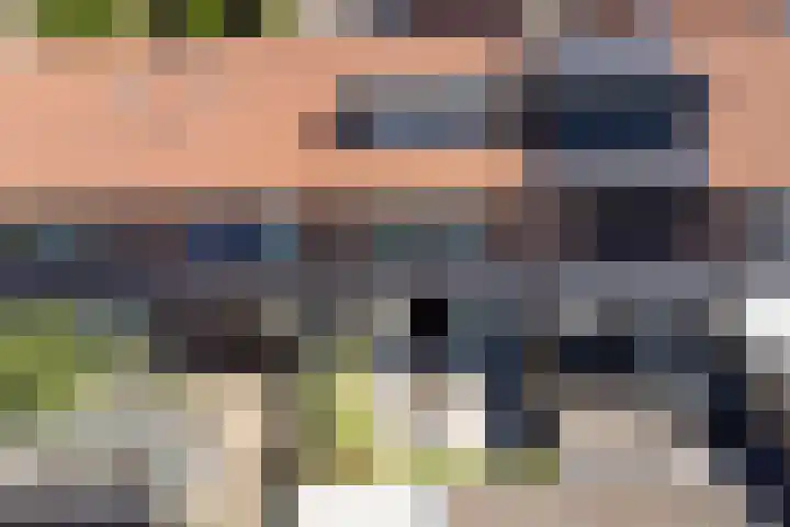 Banterveste 5 Nieuwegein thumbnail 67
